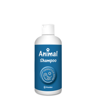 Animal Shampoo